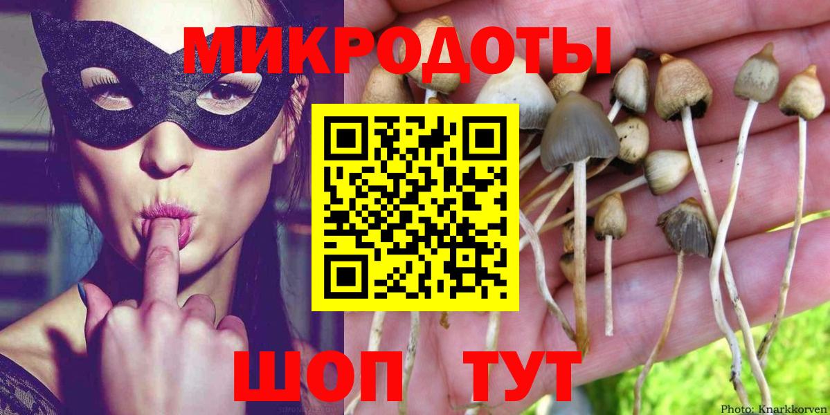 Псилоцибиновые грибы мицелий Унеча