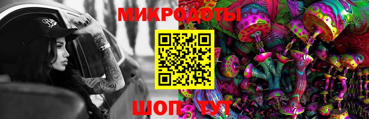 Унеча  Галлюциногенные грибы Psilocybe  Вход с VPN 